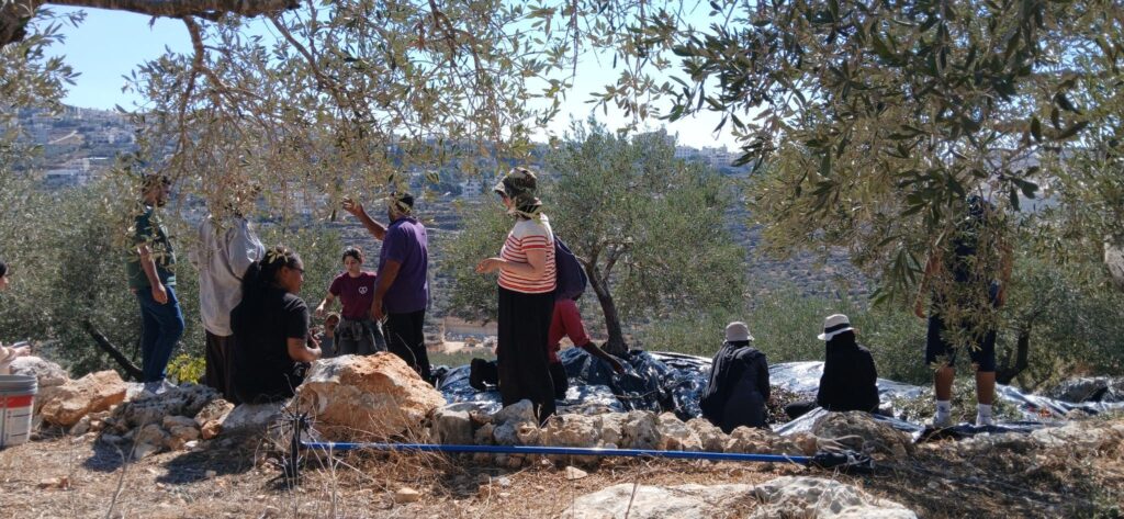 Go to Palestine: A Report From the Ground